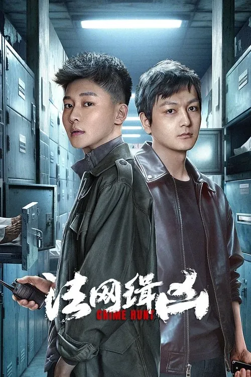 法网缉凶 电视剧