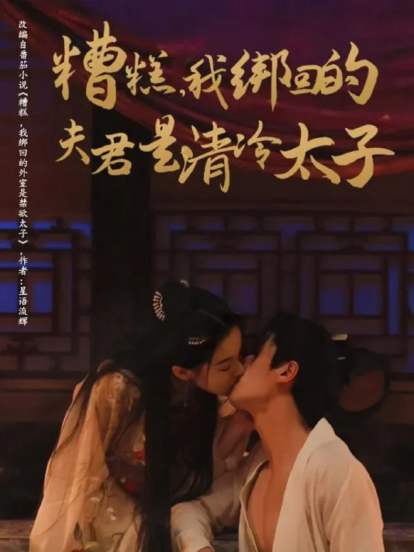 糟糕我绑回的夫君是清冷太子 网络资源