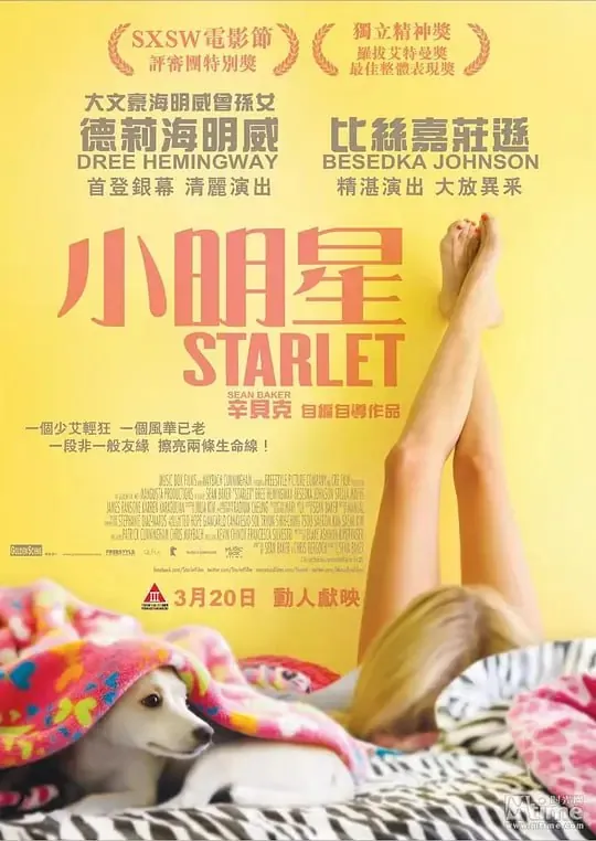 待绽蔷薇 网络资源