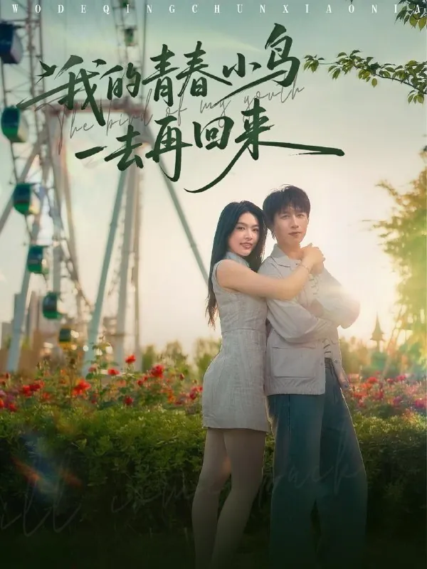 我的青春小鸟一去再回来 网络资源