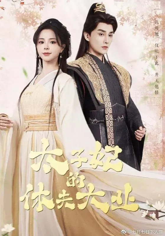 太子妃的休夫大业（2025） 电视剧