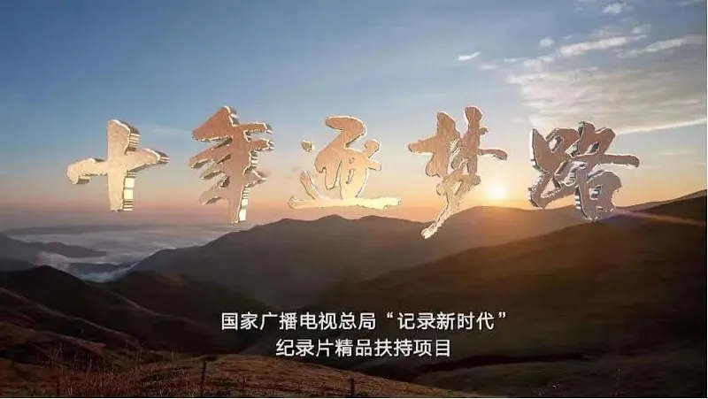 十年逐梦路 电视剧