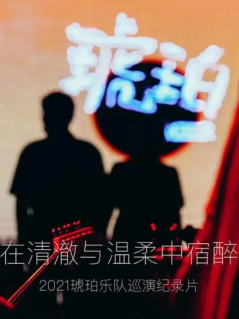 琥珀，在清澈与温柔中宿醉 综艺