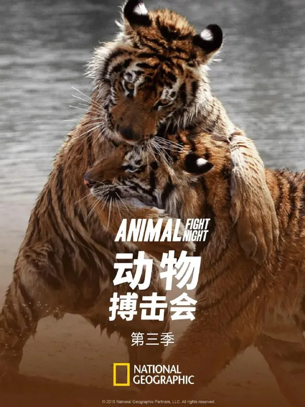 动物搏击会第三季 综艺