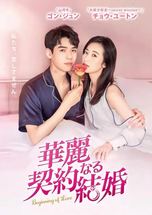 从结婚开始恋爱 网络资源
