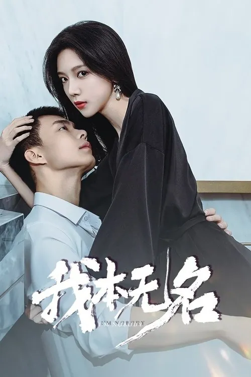 我本无名 电视剧