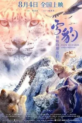 雪豹和她的朋友们 网络资源