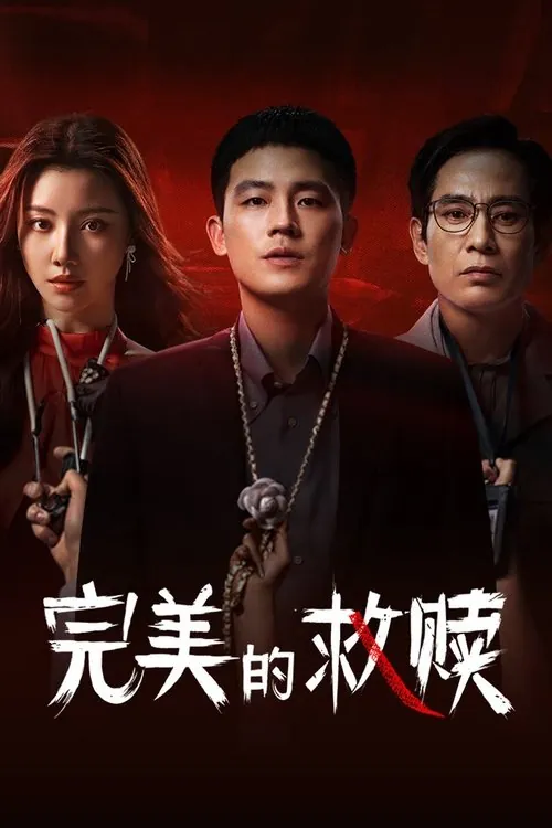 完美的救赎 电视剧