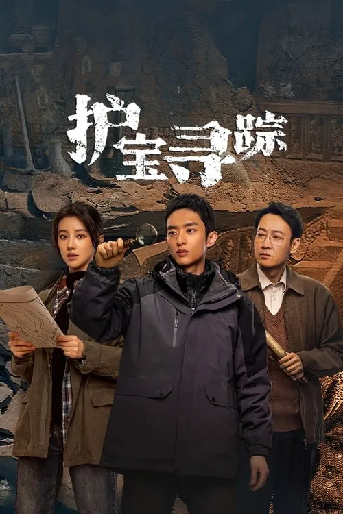 护宝寻踪 电视剧