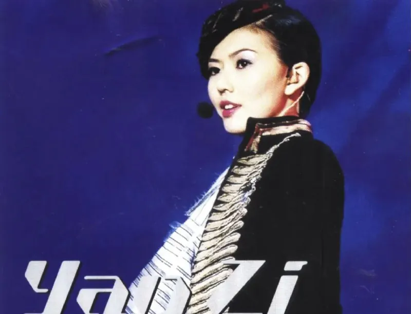 孙燕姿STARTYANZI世界巡回演唱会2CDwav 综艺